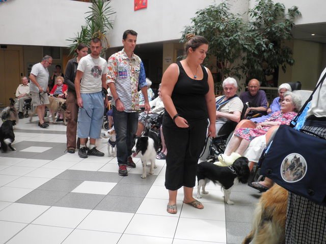 chien visiteur